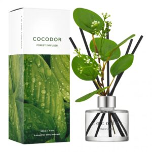 Cocodor Forest DIFFUSER [Black Cherry]