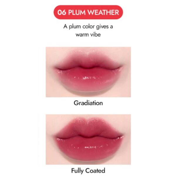 Merythod Aehgdu Fit Lipstick #06 Plum weather - Image 5