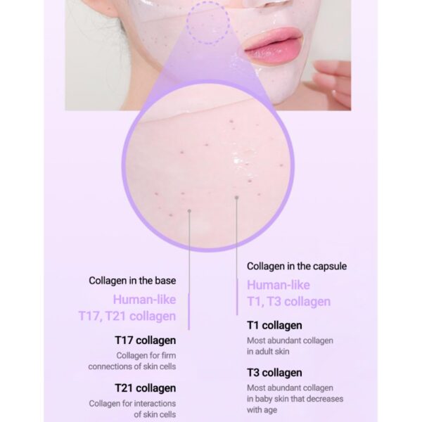 BIOHEAL BOH Probioderm Collagen Remodeling Serum Gel Mask Sheet [#6 masks] - Image 5