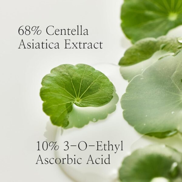 Beauty of Joseon Light On Serum: Centella + Vita C - Image 4