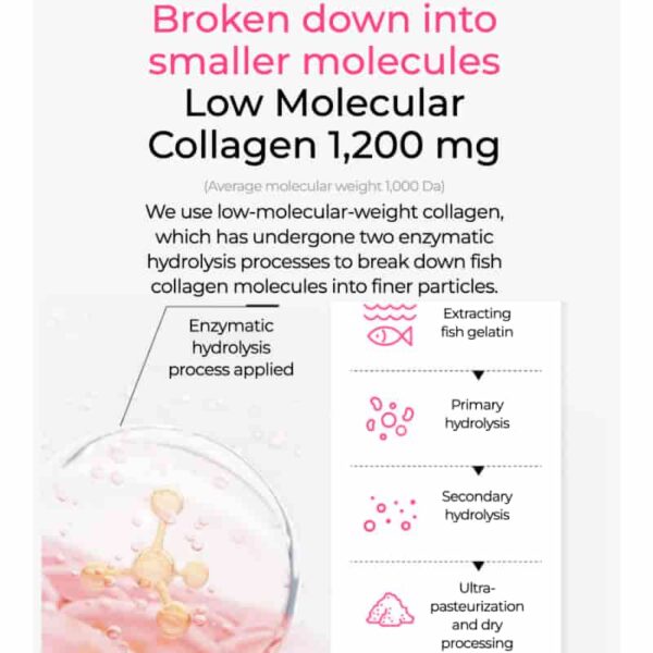 BB LAB Low Molecular Collagen S 60 Sticks Set (+Collagen Gummy 2 Packs) - Image 3