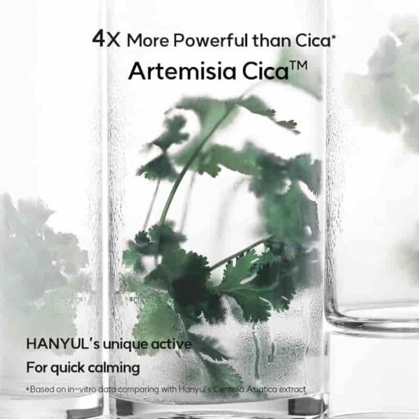 HANYUL Pure Artemisia Watery Calming Pads (+10P+ Calming Sun Cream 15mL) - Image 6